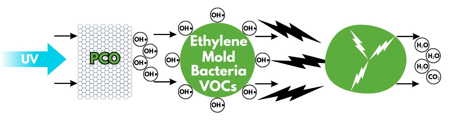 PCO reaction